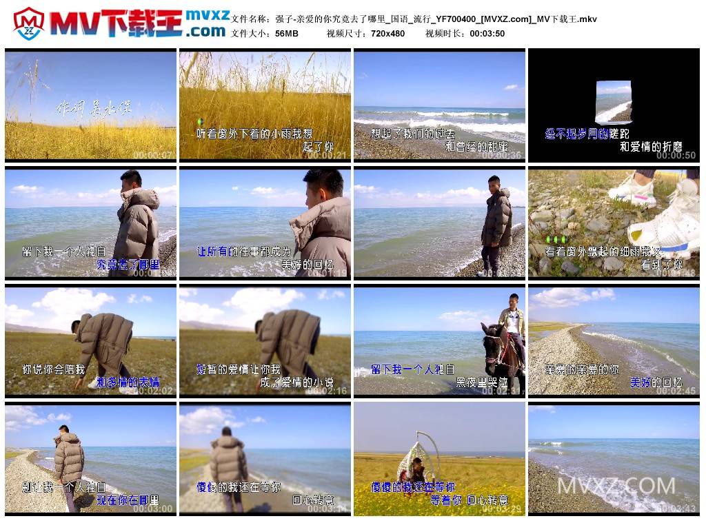 强子-亲爱的你究竟去了哪里_国语_流行_YF700400